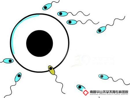 男性弱精症引起的常见原因有哪些？